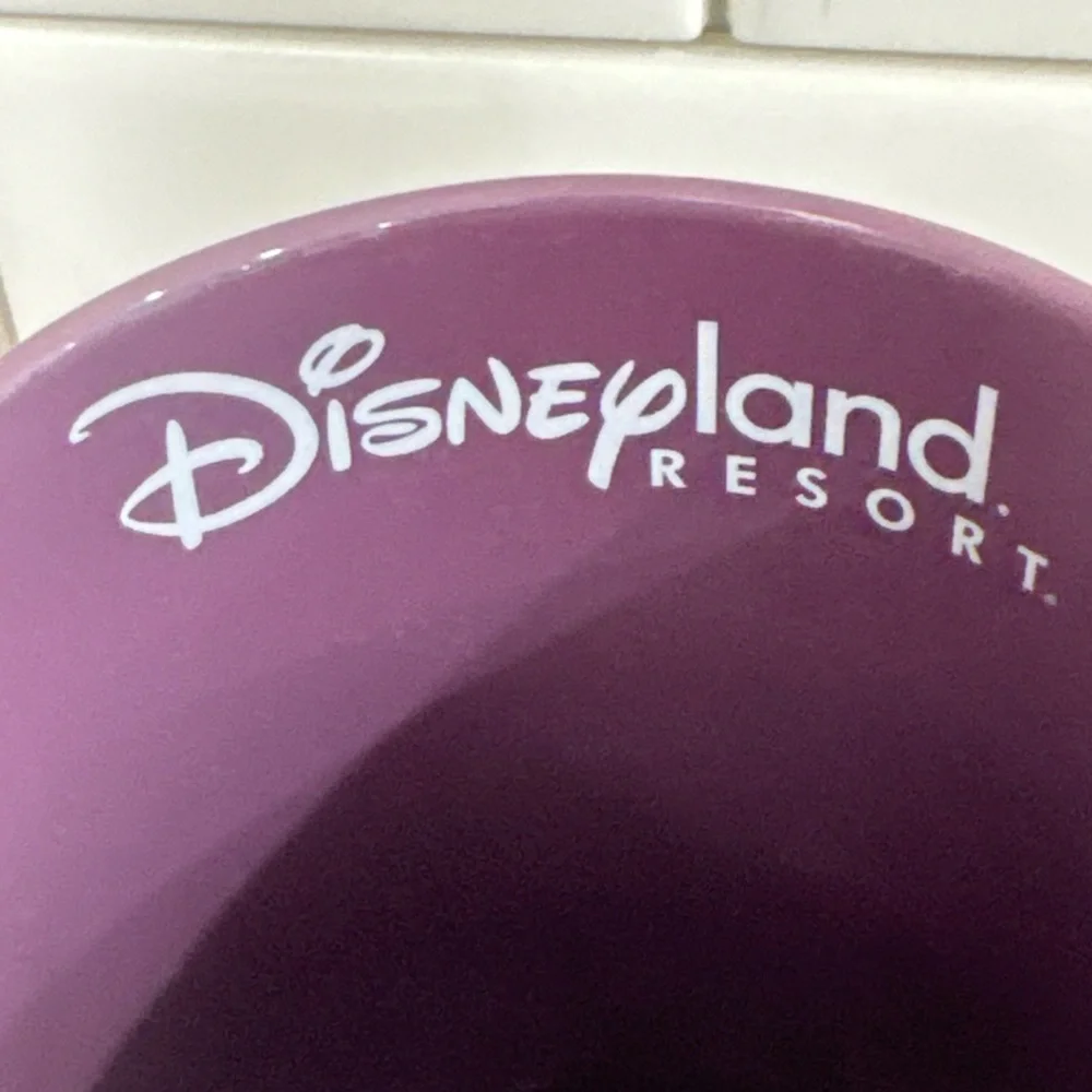 Disneyland Resort full beauty
